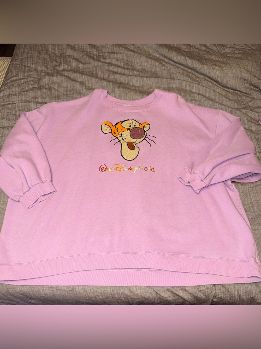Disney Tigger Sweatshirt!